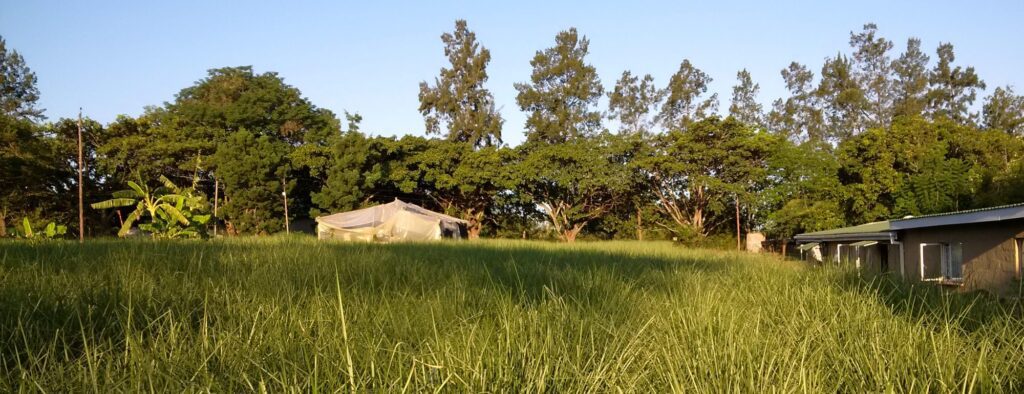 Mhlalanyoni farm, home of Dr Sue Hart Mhlalanyoni farm, home of Dr Sue Hart